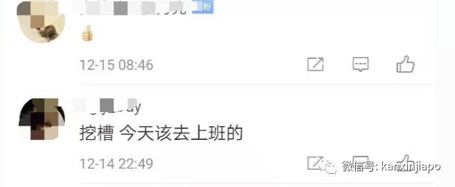 邂逅野生李显龙总理，和滨海湾鲸鱼拍照留念萌感十足！