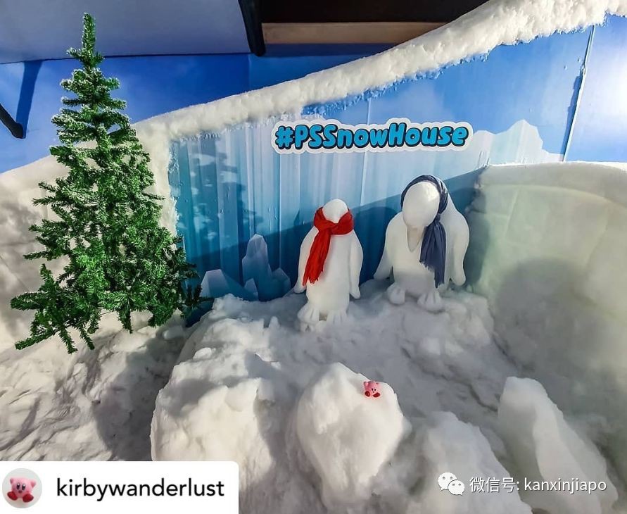 新加坡成功入冬!零下10度、需要穿棉襖那種!