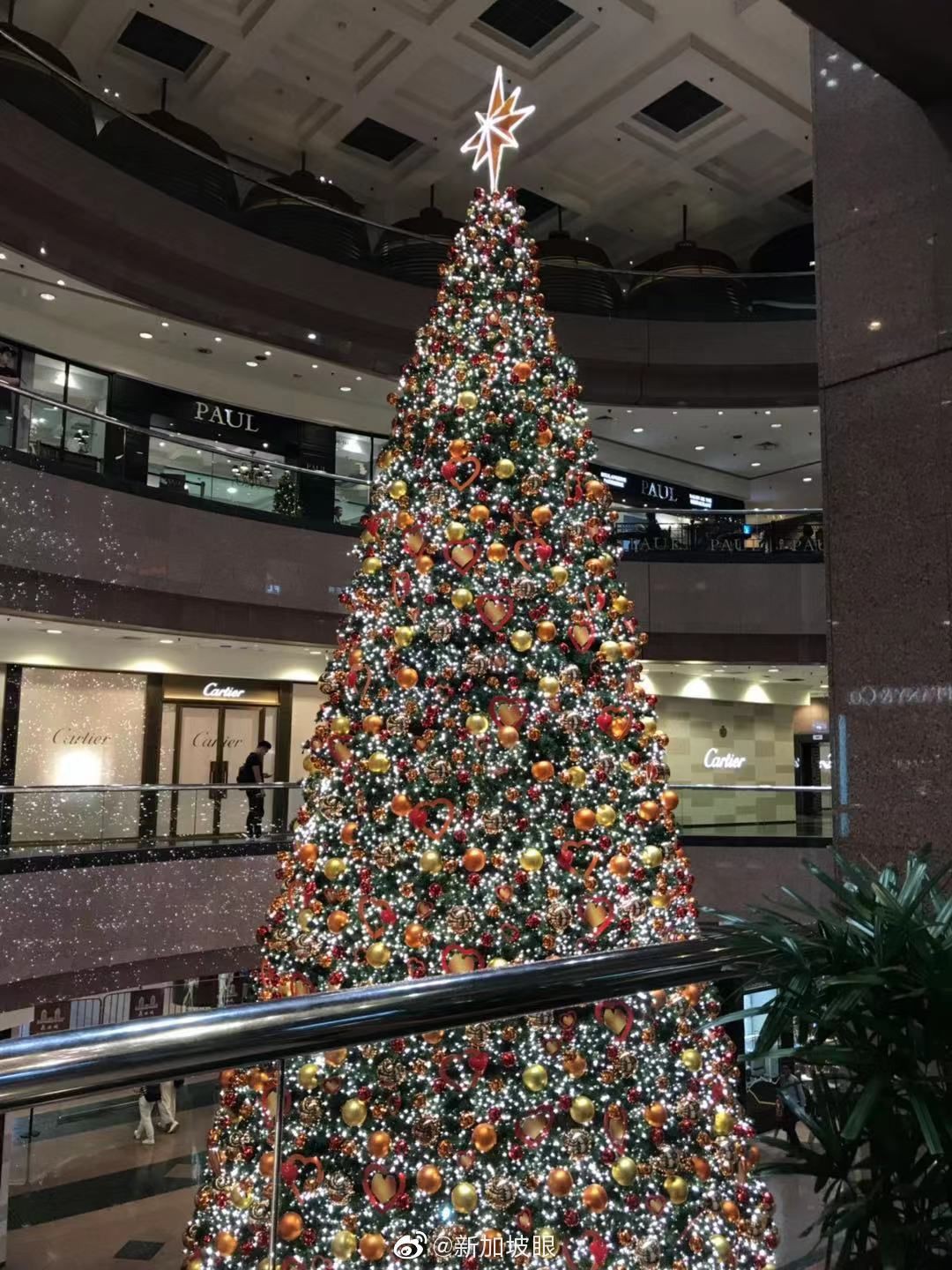 ins拍照留念特輯,新加坡哪裏的聖誕樹最夢幻?