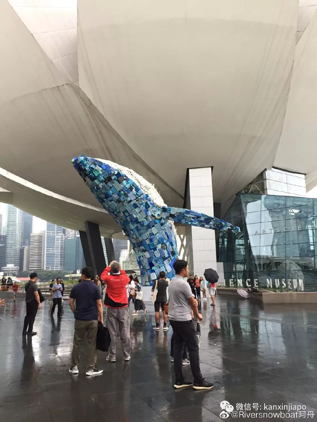 邂逅野生李显龙总理，和滨海湾鲸鱼拍照留念萌感十足！
