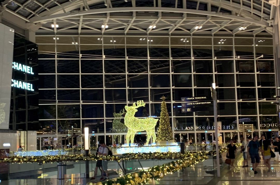 ins拍照留念特輯,新加坡哪裏的聖誕樹最夢幻?