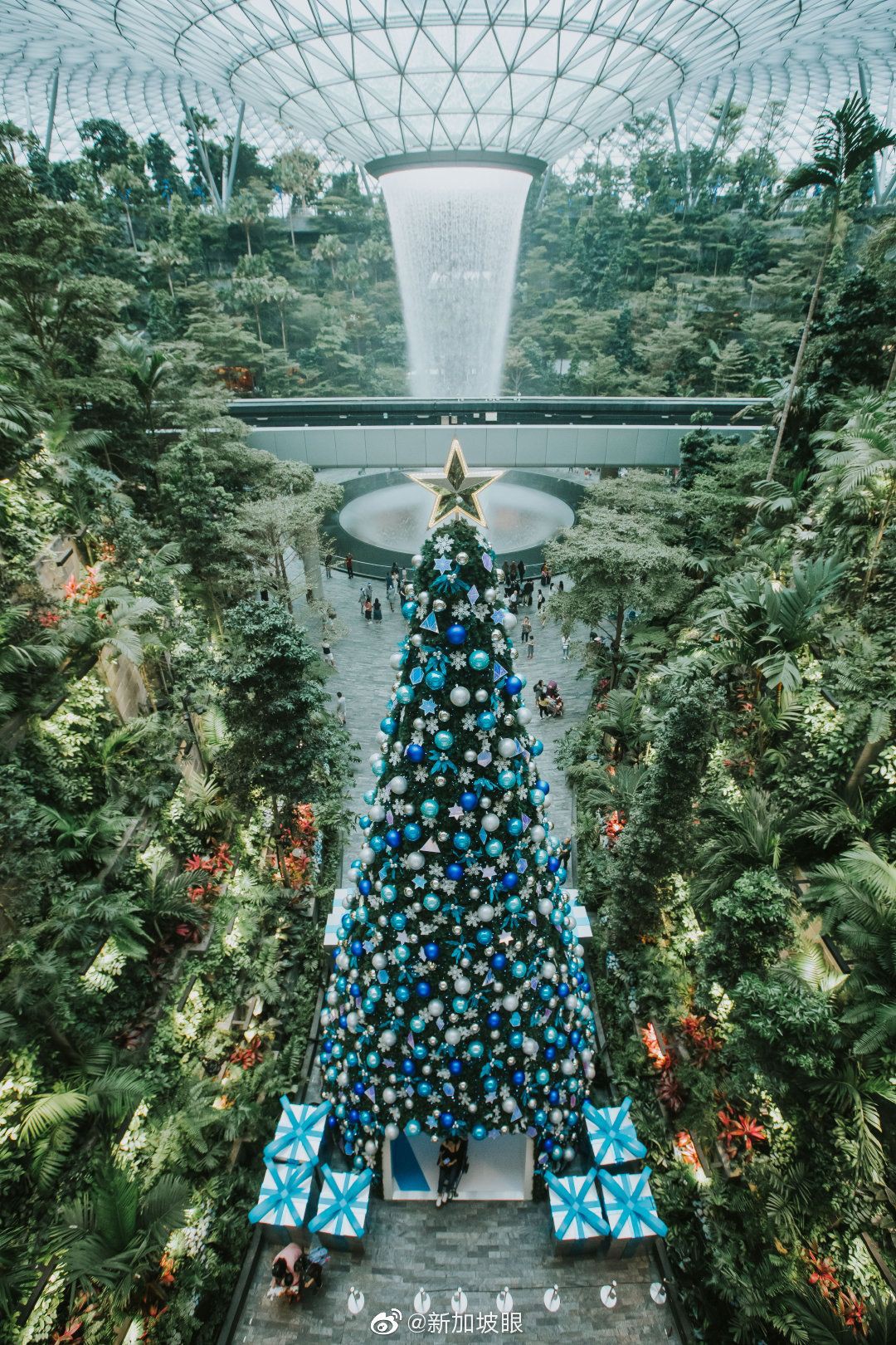 ins拍照留念特辑，新加坡哪里的圣诞树最梦幻？