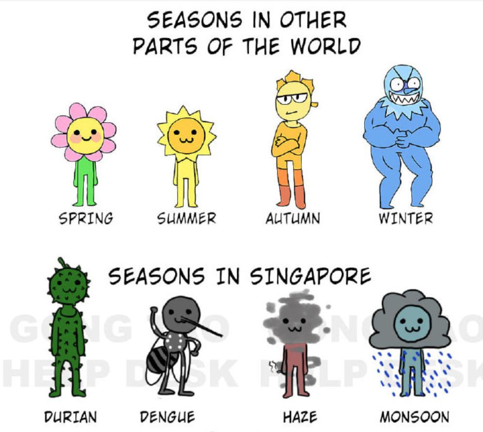 真实！新加坡常驻居民的四季是这样......