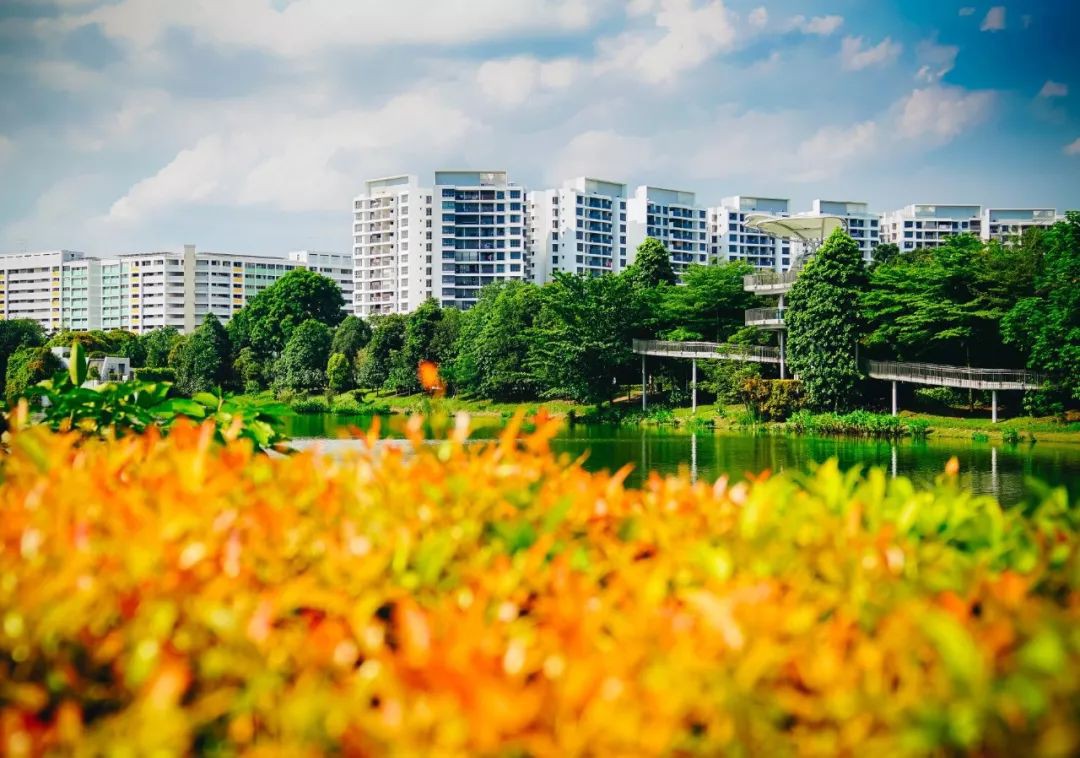 新加坡又放大招，2020年近17000套新组屋供申购！