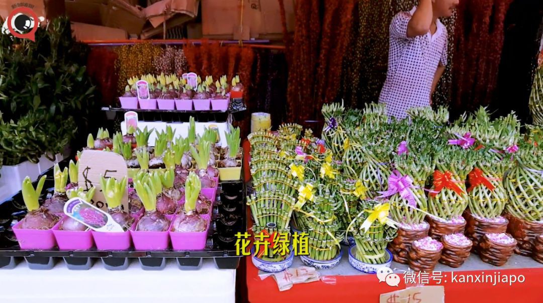 新加坡鼠年年味“重地”,辦年貨不踩雷!