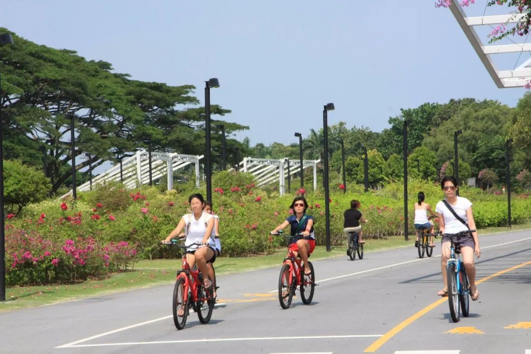 新加坡政府狂砸10亿新币，建1300公里自行车道！