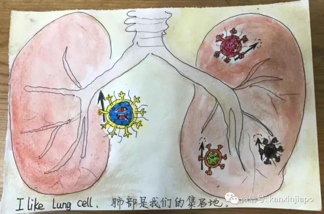 泪目！7岁小女孩手绘：新型冠状病毒的自白