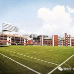 大航海时代求学新加坡,这名中国人主动放弃了政府学校?