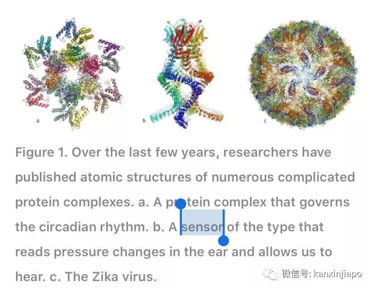 南洋理工大学教授，给病毒的蛋白质搭了个互动主题公园