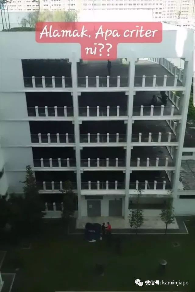 心痛！停车场内玩闹，新加坡女学生坠楼身亡
