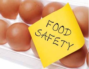 新加坡食品局下令，禁售来自这个国家的鸡蛋！