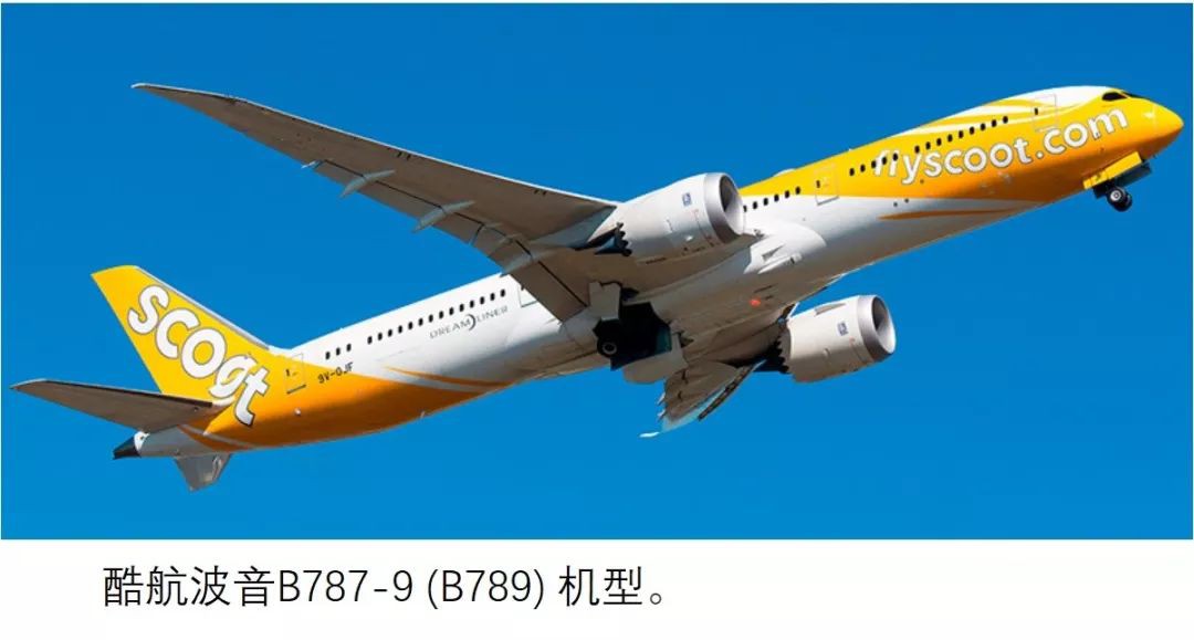 酷航連夜將28人從杭州帶回了新加坡