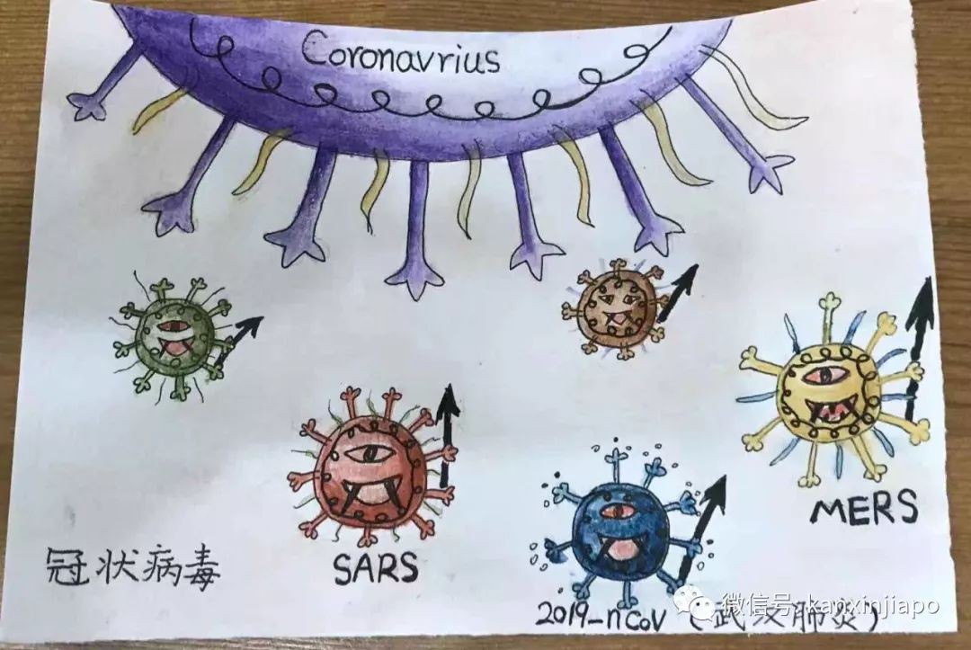 泪目！7岁小女孩手绘：新型冠状病毒的自白