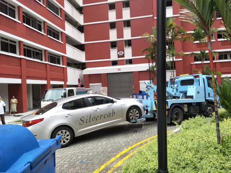 新加坡德士引擎盖内惊现巨蟒 拆车只为送走它? |新加坡巨蟒