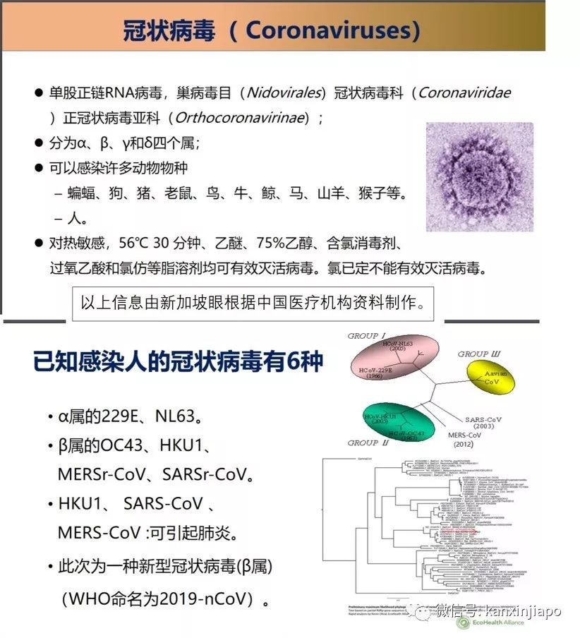新中两国专家对肺炎预防的建议，你都该听听