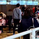 急!往返新加坡和中国还有哪些航班可以坐?