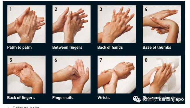 新加坡防疫策略爲何惹爭議?原來政府認爲它才是關鍵