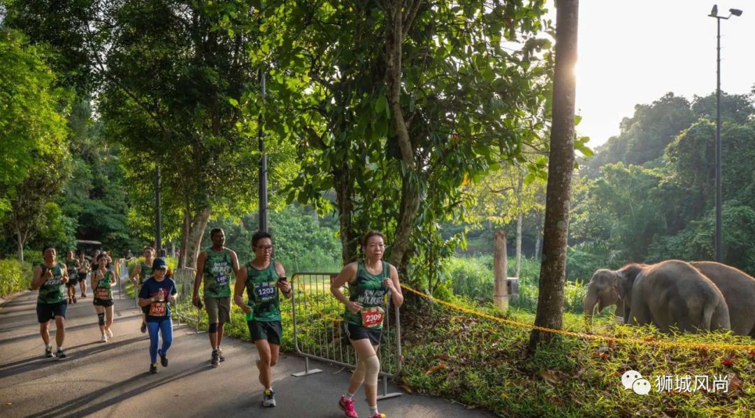 Safari Zoo Run 2020 Is Back With Free Entry To Two Parks