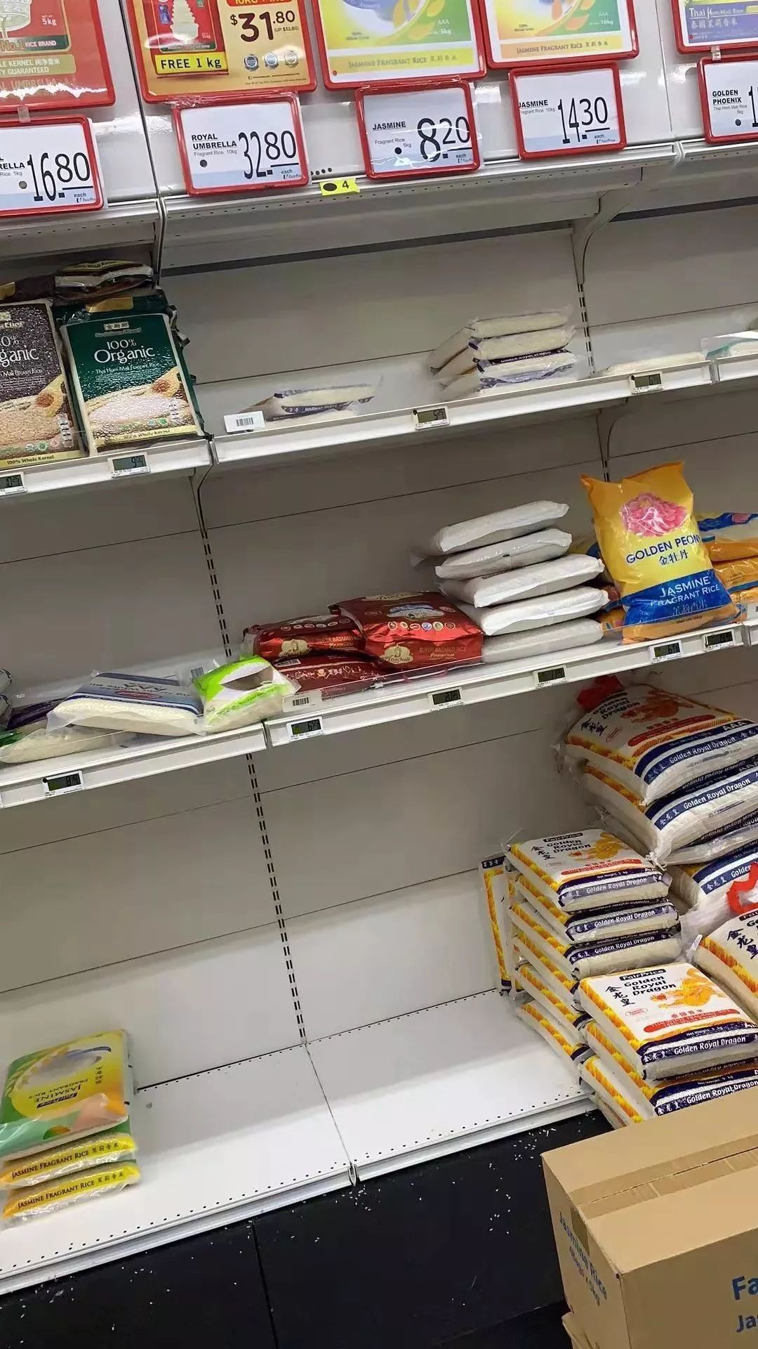 瘋了~今晚的新加坡超市