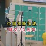 杨幂、刘涛、赵丽颖、杨紫、郑惠玉等齐发声,中新两国同心抗疫!