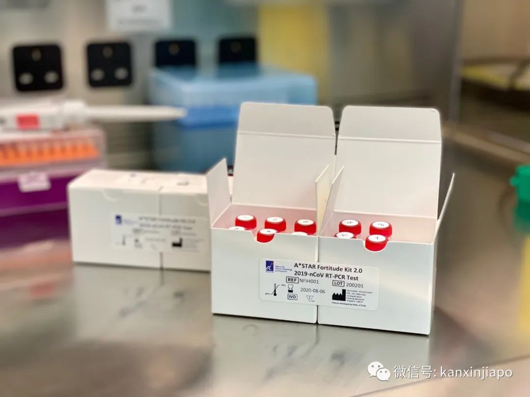 新加坡研制的新冠试剂盒特点是：快、准、狠？