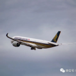 新加坡人贪图便宜,新冠疫情期间还想出国旅游?