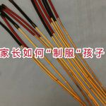 新加坡学生在家上课第一周,打人用的藤条卖断货!