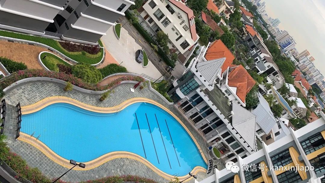 新加坡禁止在小區遛狗、運動,出動機器人巡邏