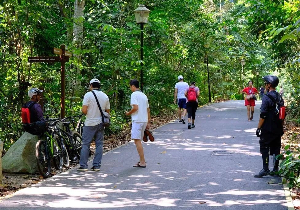 新加坡禁止在小區遛狗、運動,出動機器人巡邏