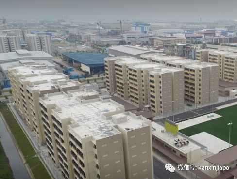 新增X例,累計X例|新加坡拐點未到,專家建議阻斷措施延長2周