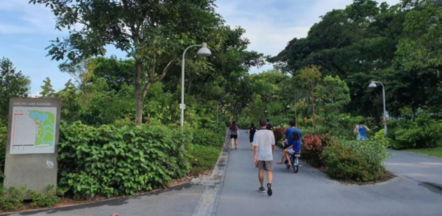 新增386例创新高，累计2918 | 新加坡社区传播却在悄悄减少中？