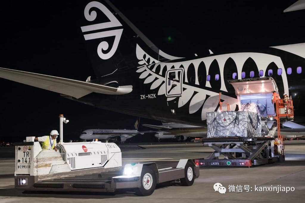 新加坡包机飞往韩国，只为运输鸡蛋回国