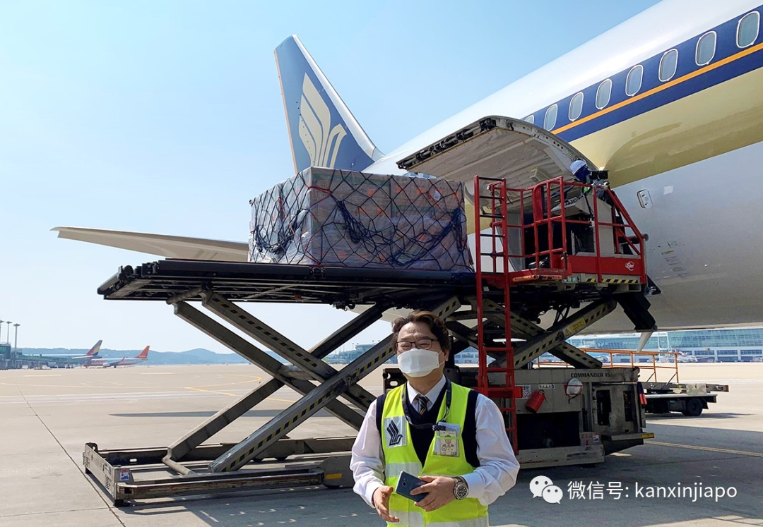 新加坡包机飞往韩国，只为运输鸡蛋回国