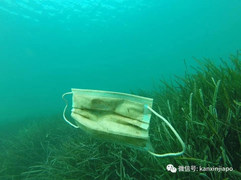 疫情期间乱丢口罩手套，严重污染了环境