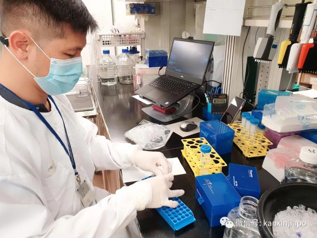 新加坡發現5種抗體來對抗新冠病毒