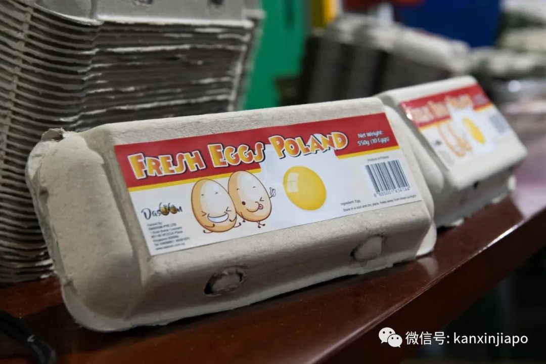 疫情下,新加坡首次與波蘭合作進口新鮮雞蛋