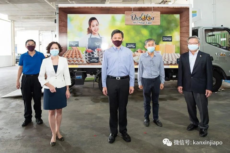 疫情下,新加坡首次與波蘭合作進口新鮮雞蛋