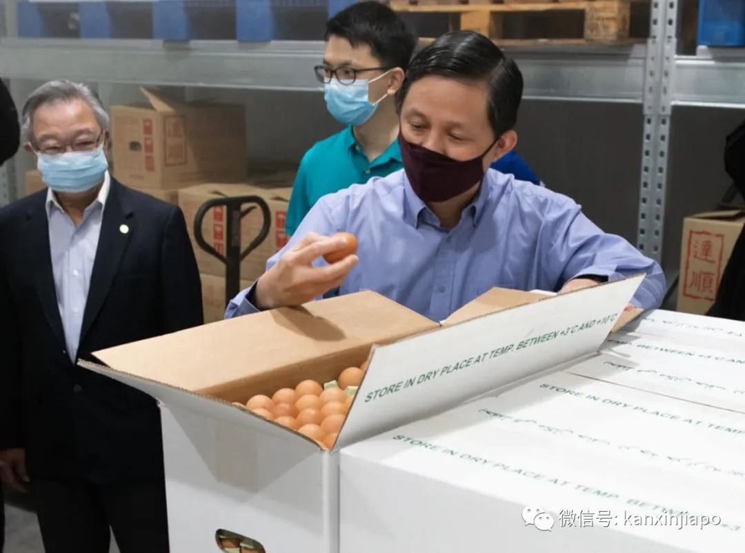 疫情下，新加坡首次与波兰合作进口新鲜鸡蛋