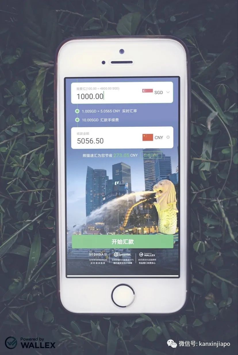 错过618？也不能错过狮城最佳汇率！居然还能免费汇款中国？ - 新加坡眼
