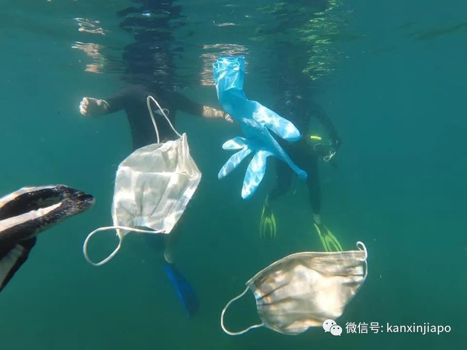 疫情期间乱丢口罩手套，严重污染了环境