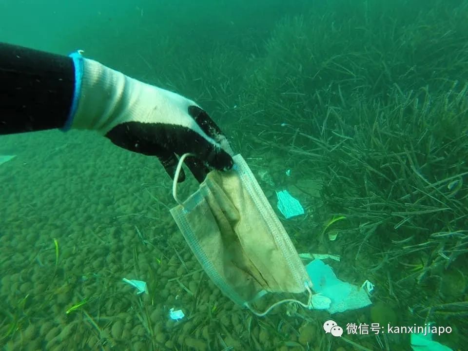 疫情期间乱丢口罩手套，严重污染了环境