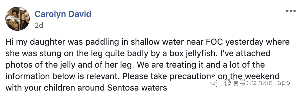 新增X，累计X | 4岁女童在圣淘沙海滩嬉水，被剧毒水母蜇伤