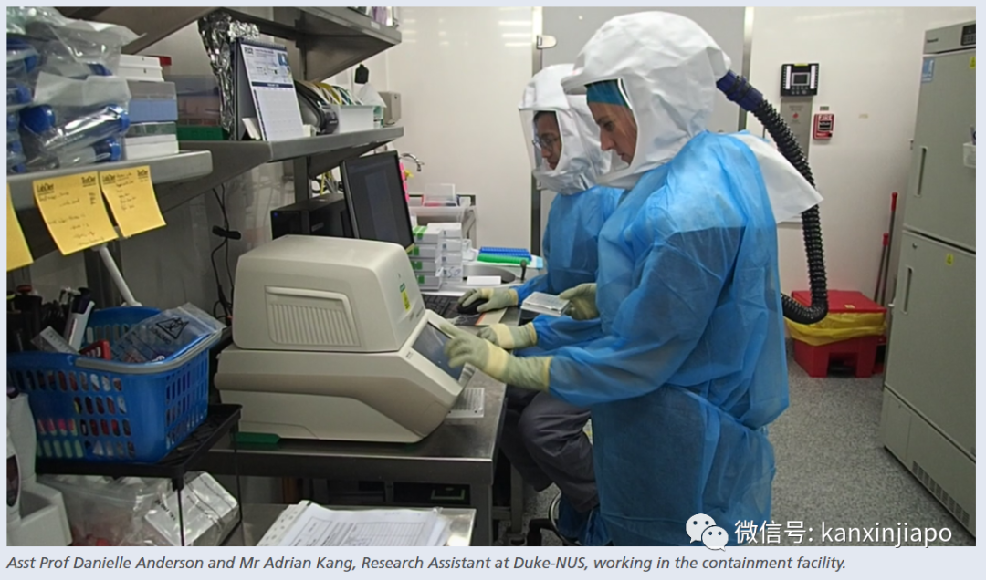 新增X，累計X|新加坡首個新冠疫苗開始進行人體實驗，有望推動大規模注射