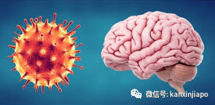 全球多地新冠康复者大脑出现严重损伤，专家：病毒不仅针对肺部