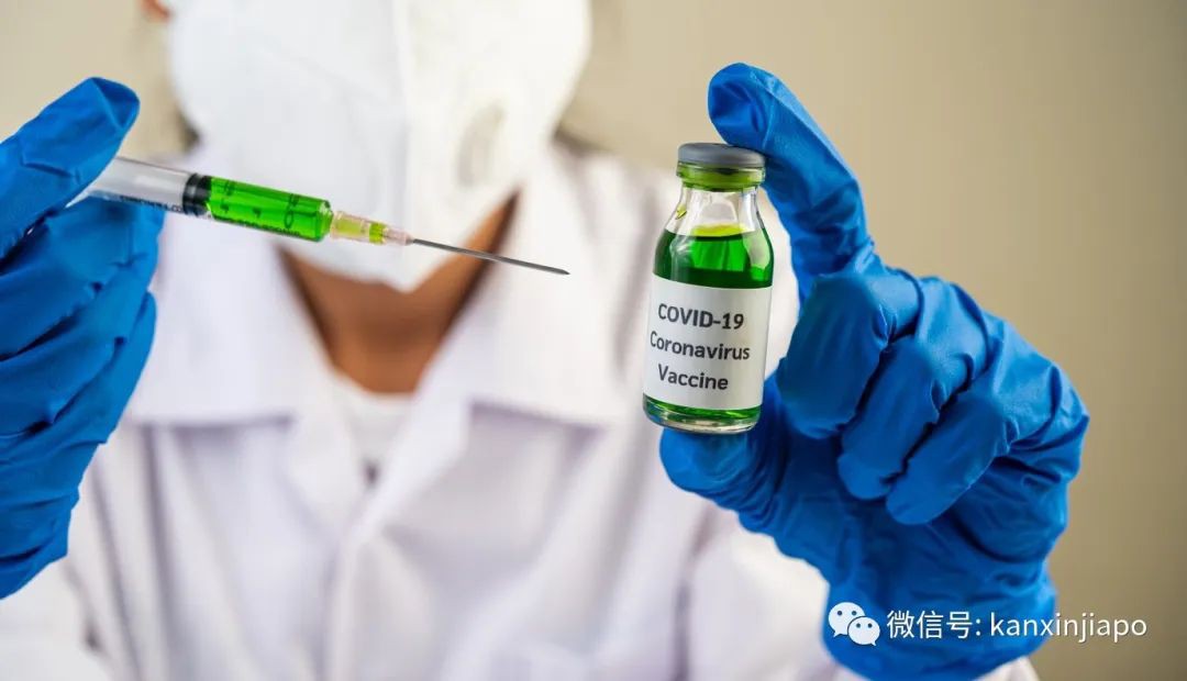 新加坡疫苗何时批量生产？专家预估明年这个时间