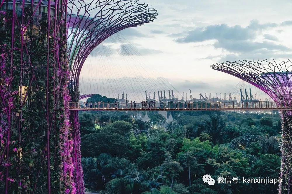 新加坡境内旅游人数限制放宽，为旅游行业恢复元气