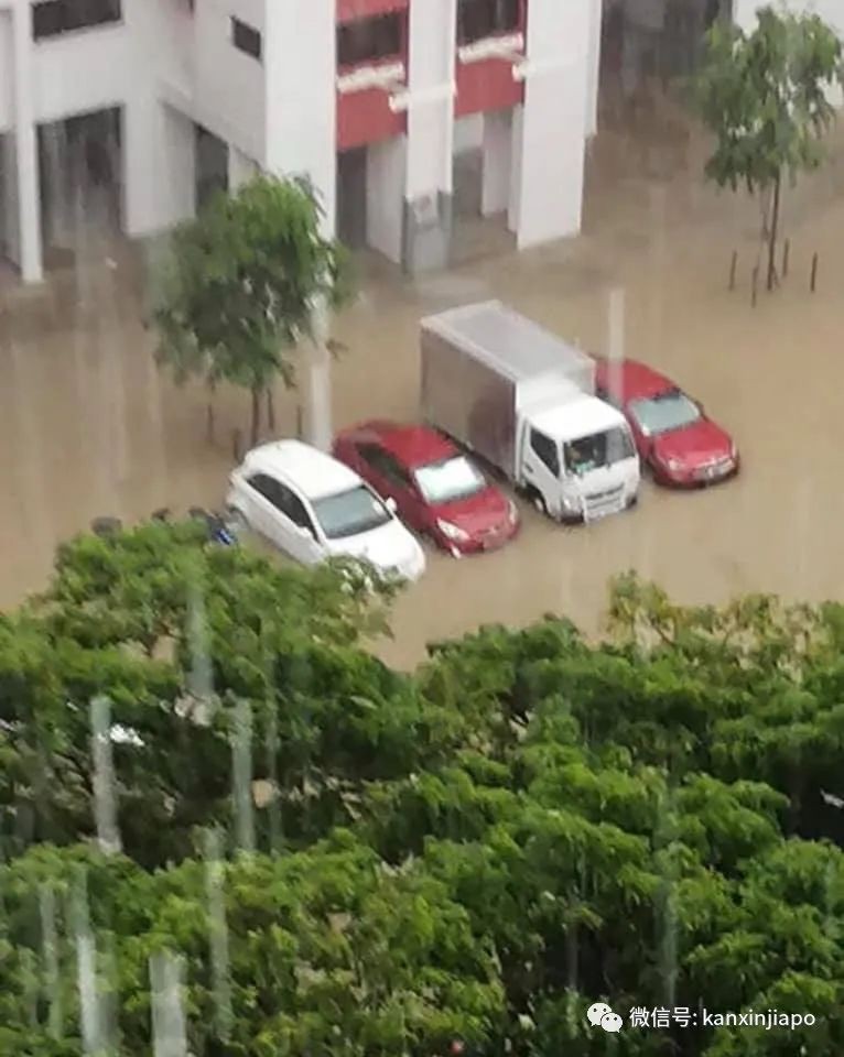 新加坡下大雨，组屋楼梯间“淹水”