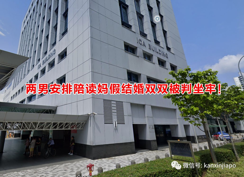 陪读妈妈在新加坡假结婚,两男子当中介被判坐牢