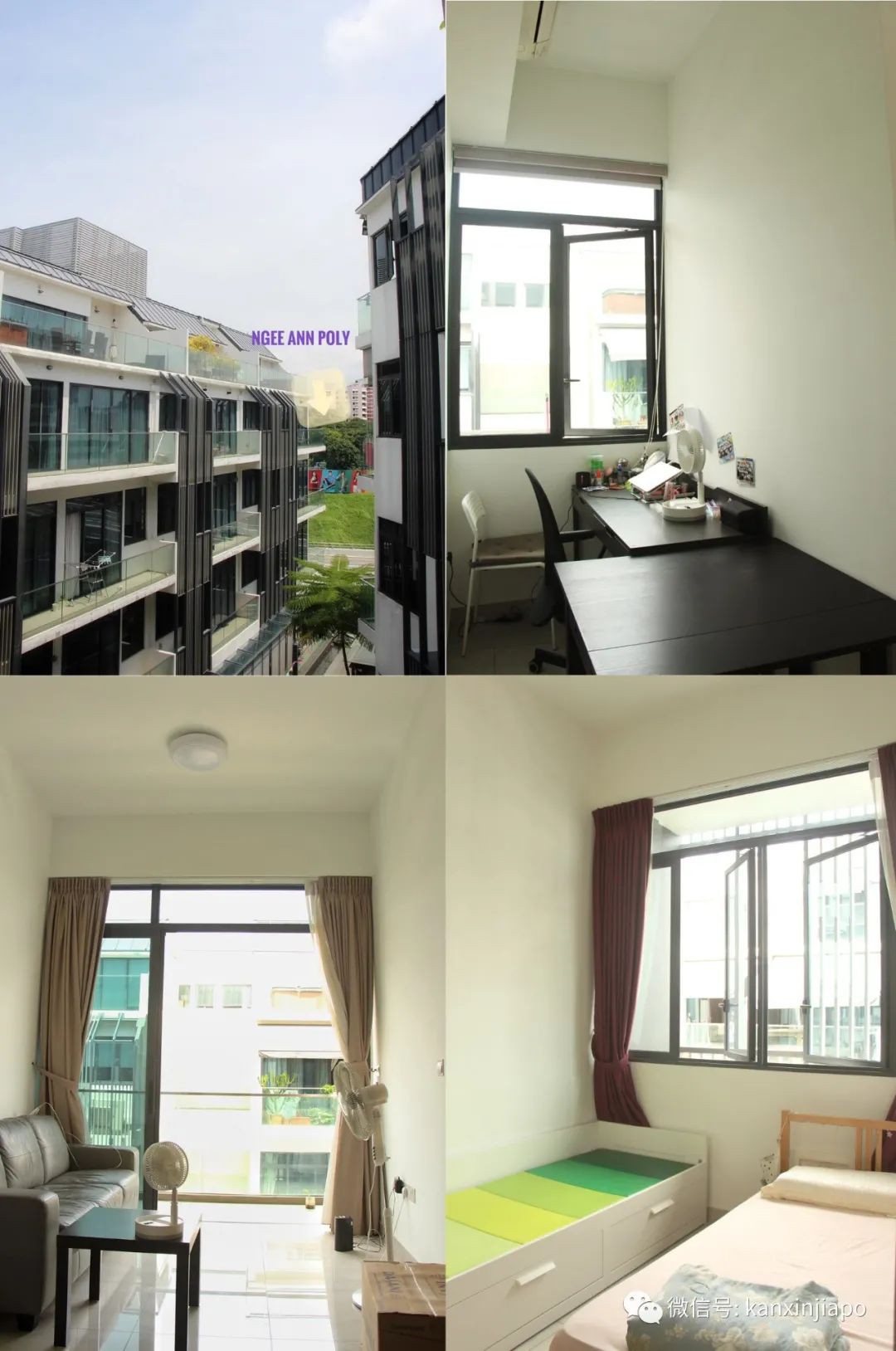 新加坡房屋出租求租信息彙總，找幹淨搭房、超大露台加落地窗
