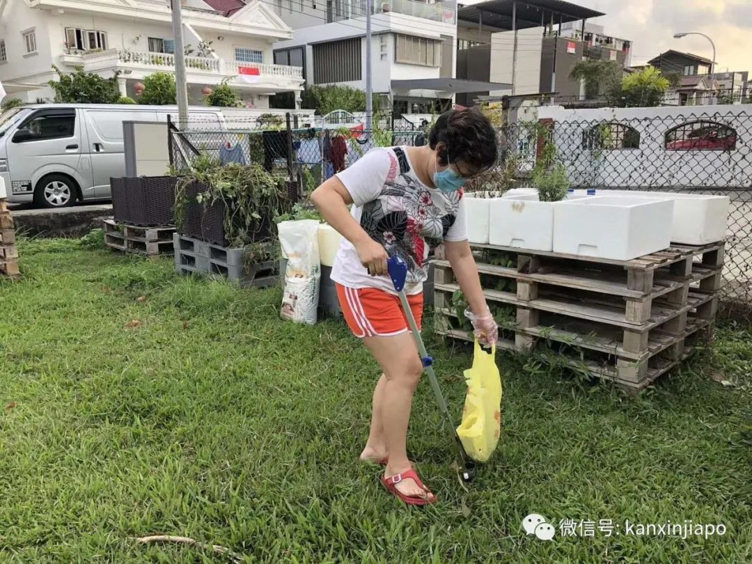 新加坡最近流行撿垃圾了，你還在亂丟嗎？
